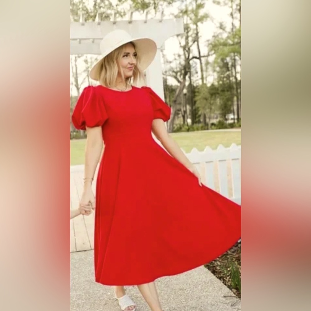 NWOT Ivy City Charlie Dress